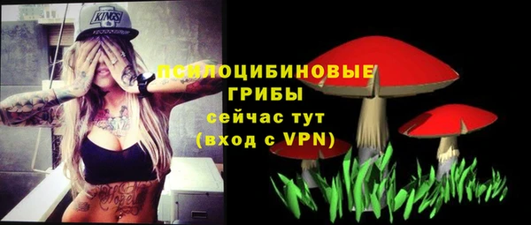спиды Алексин