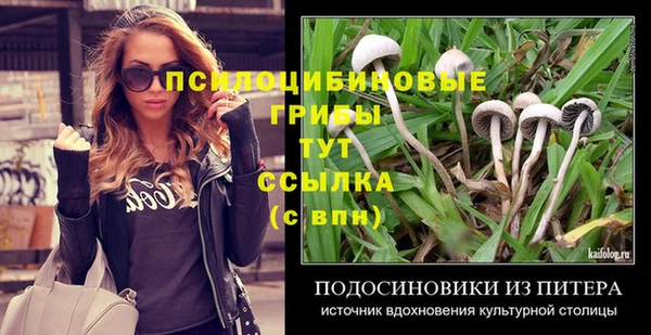 спиды Алексин