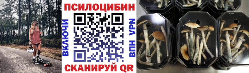 где купить наркоту Обоянь Галлюциногенные грибы мицелий